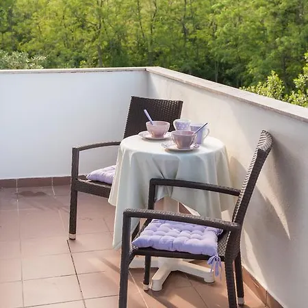 & Darrer Guest house