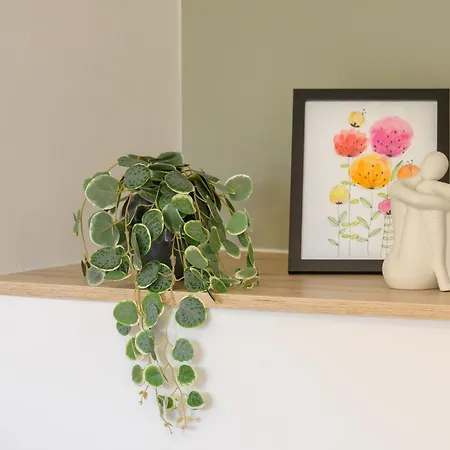 Casa de hóspedes & Darrer