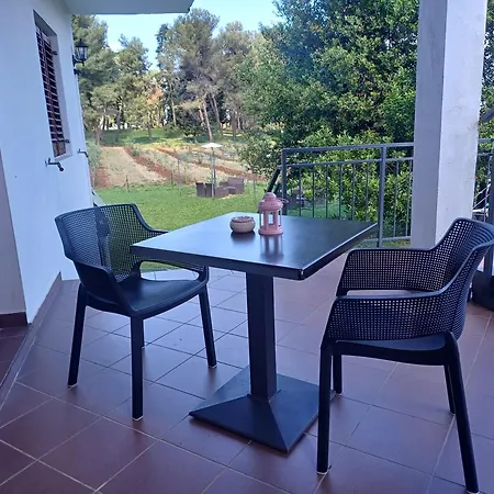 Casa de hóspedes & Darrer 3*